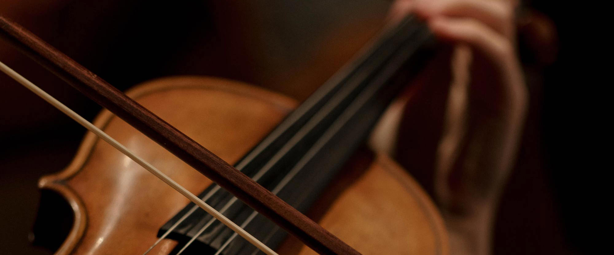 Interactive Dinner Violin Show Toronto